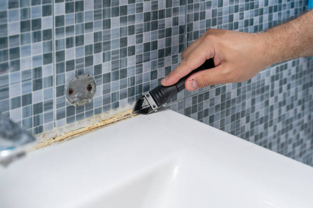 Best Same-Day Mold Removal  in Kdeer, IL
